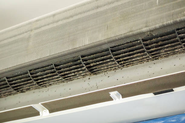 Best Affordable HVAC Duct Cleaning  in Dunlap, OH